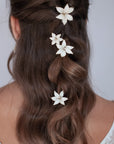 Forcine lilium