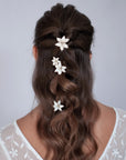 Forcine lilium