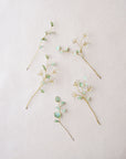 eucalyptus-hairpins-set